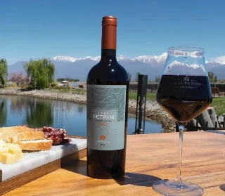 Botella de vino, copa y tabla de quesos frente a las montañas